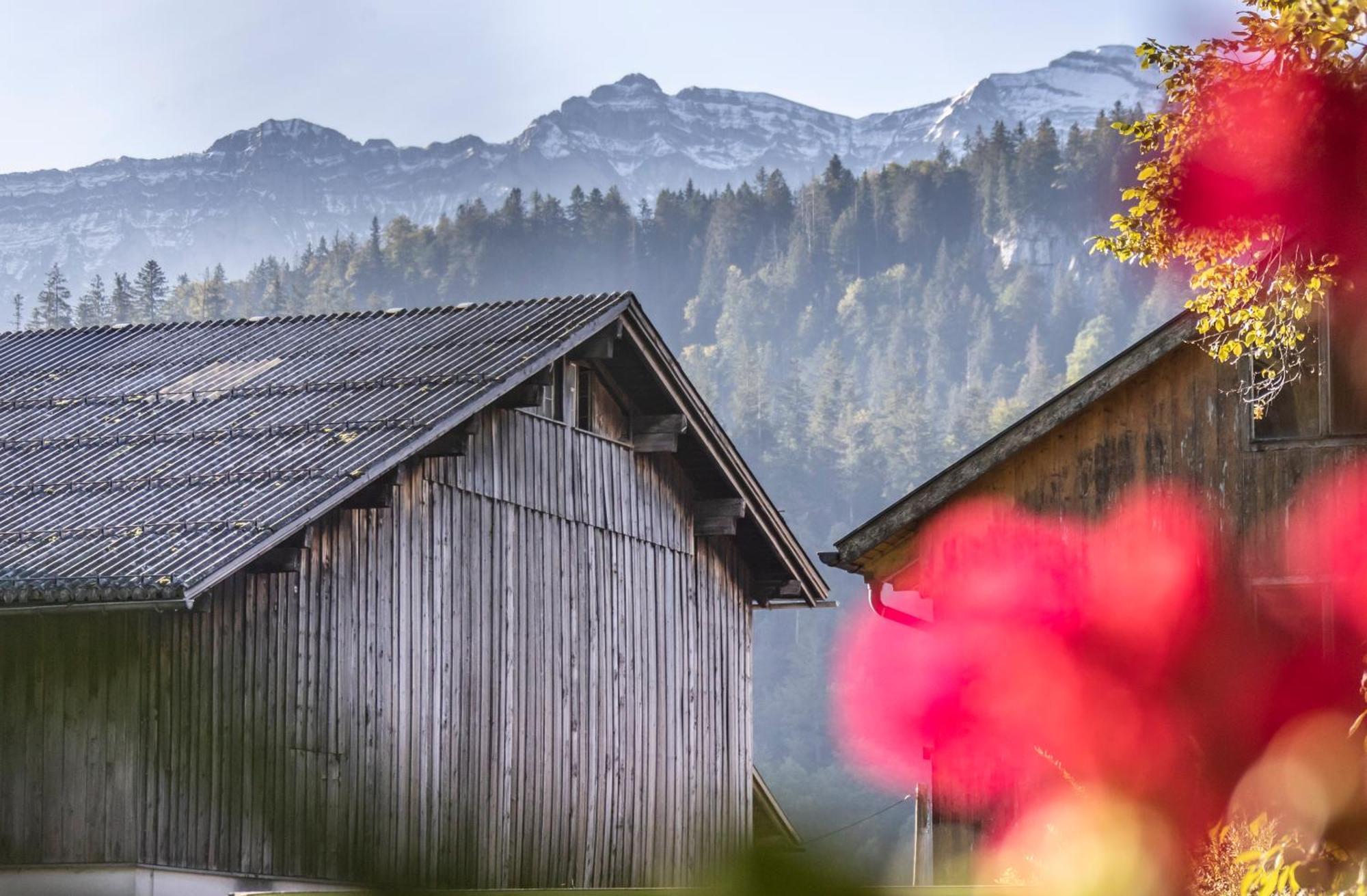 Ferienwohnung Greber Gertraud ベツァウ エクステリア 写真